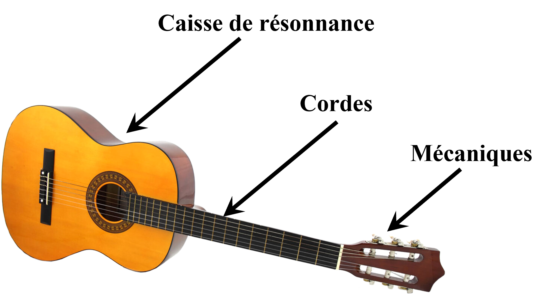 Composants guitare